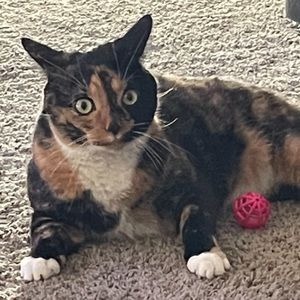 Meet your Posher, Kathy